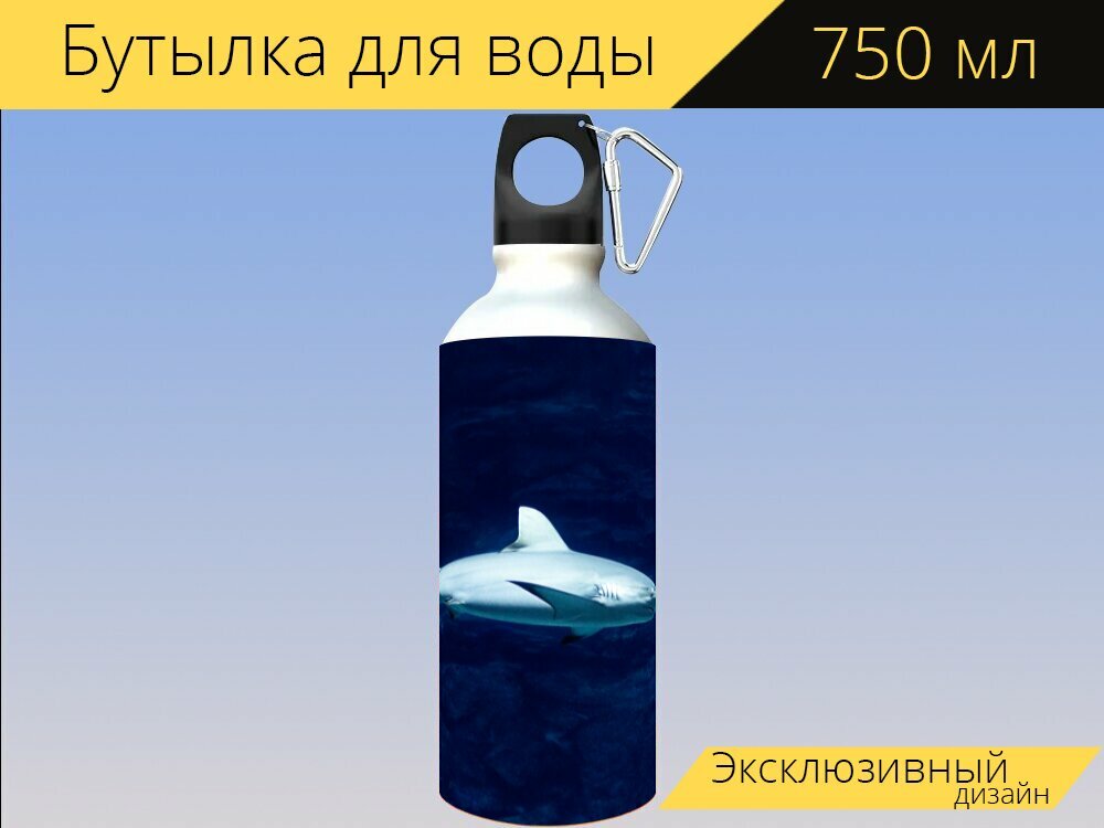 Бутылка фляга для воды "Акула, хищная рыба, мегалодон" 750 мл. с карабином и принтом