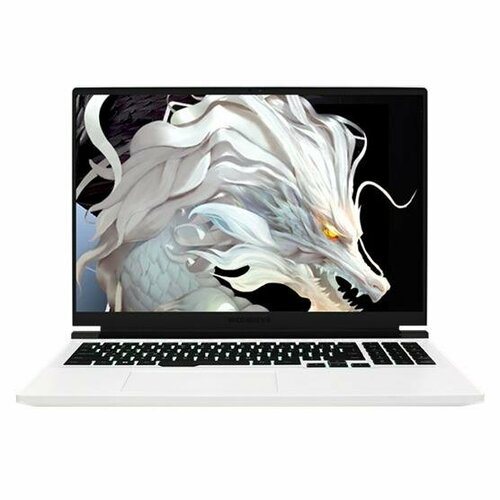 Mechrevo jiaolong 16 pro white 17998000₽