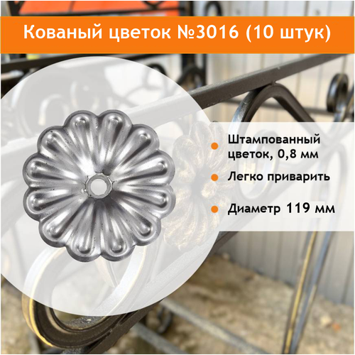 Ромашка стальная для дома и сада, 10 шт