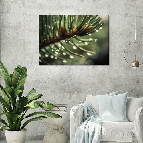 Интерьерная картина на холсте - капля росы на еловой веточке 40х60