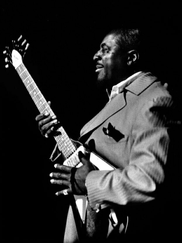 Плакат, постер на холсте Albert King/Альберт Кинг/черно-белый. Размер 21 х 30 см