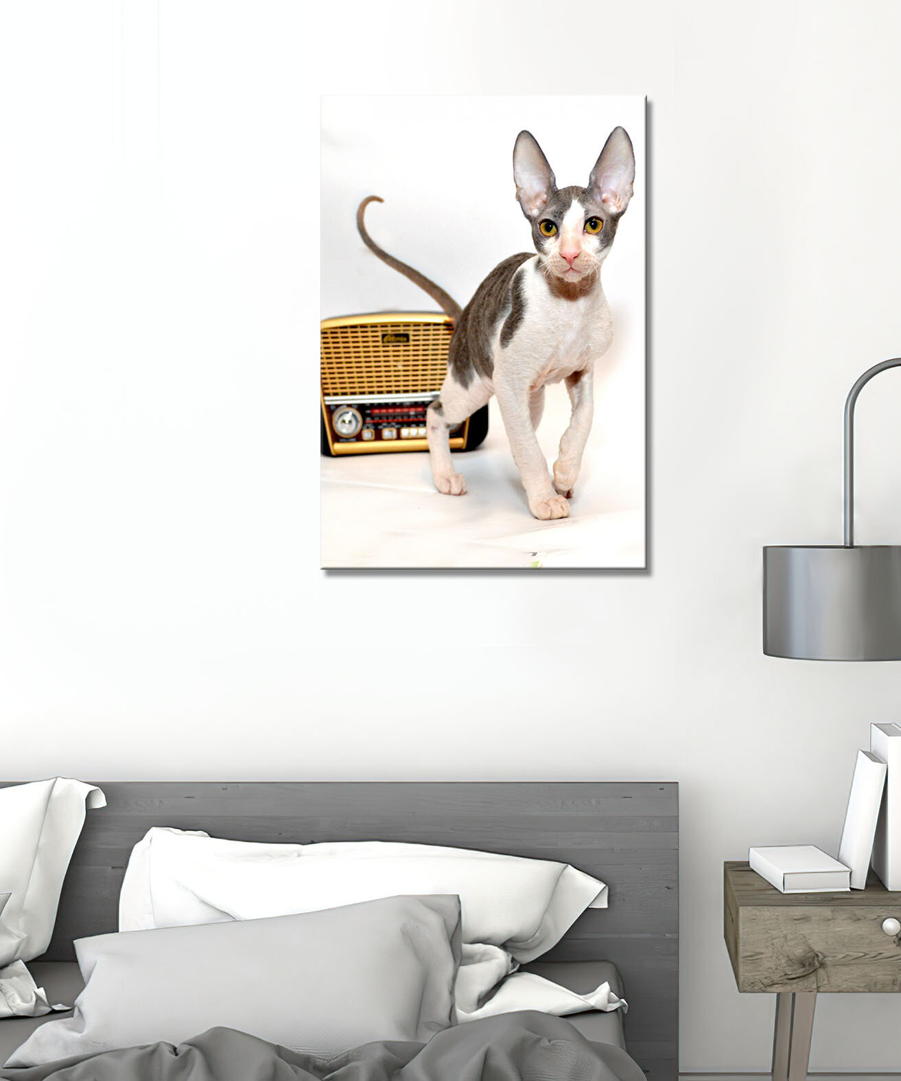Картина - кошка, корниш-рекс, волнистая шерсть, короткошёрстная кошка, домашняя кошка, ласковая кошка, кот (140) 20х30