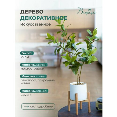 Дерево декоративное ВеЩицы для декора интерьера в цементном горшке зеленое, пластик/металл, высота 79 см, цвет горшка белый с бежевым белый, бежевый, зеленый