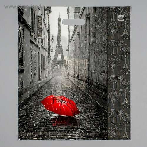 Пакет Мой Париж 5 штук полиэтиленовый с вырубной ручкой 38 х 45 см 60 мкм 599₽