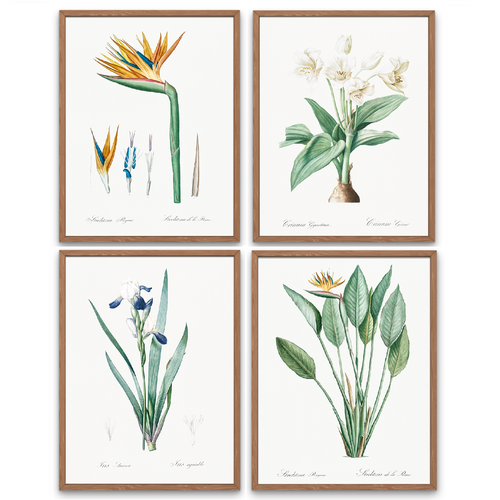 Набор постеров 