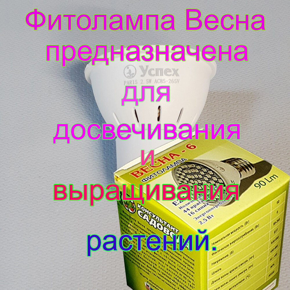 фото Фитолампа "6W для растений"