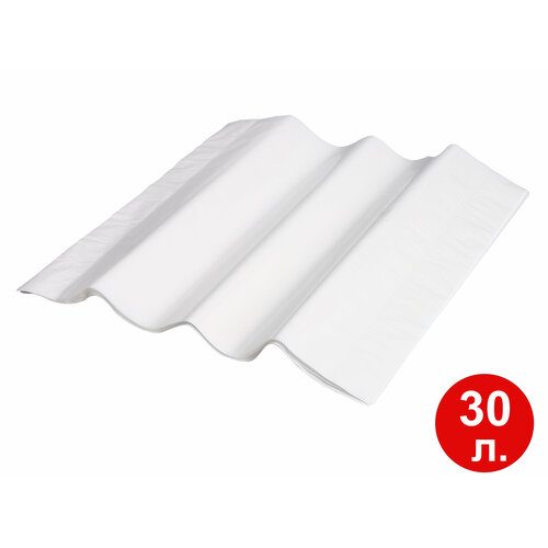 Бумага для хранения и созревания сыра, двухслойная с микроперфорацией, размер 250х250 мм 30 листов