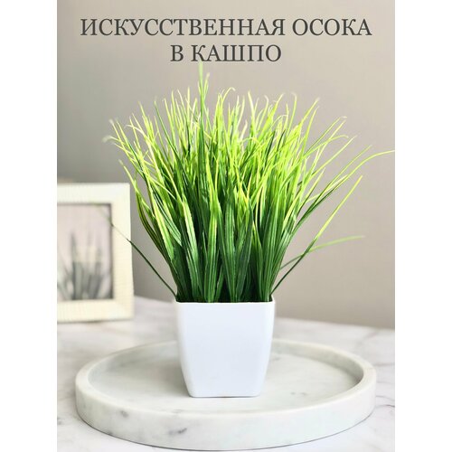 Искусственная трава (осока) в горшке кашпо / Искусственные цветы / Декоративные цветы / Декор для дома
