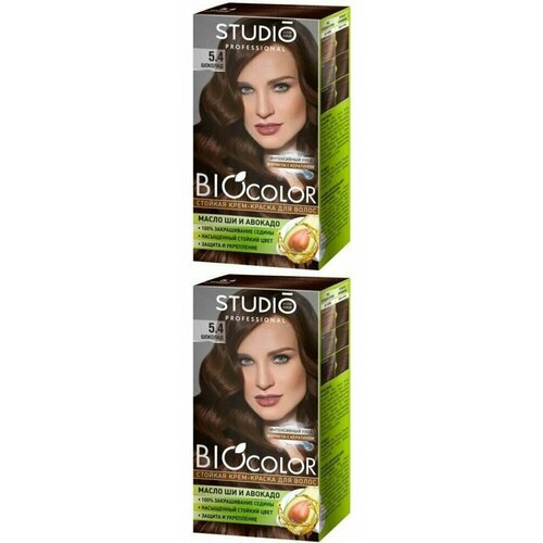 STUDIO PROFESSIONAL Краска для волос BioColor, Тон 5.4 Шоколад, 110 мл, 2 шт