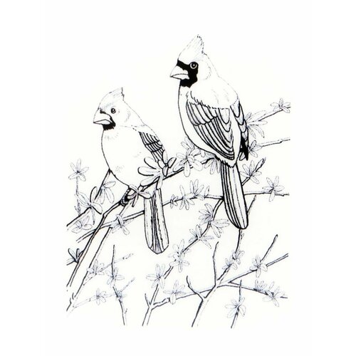 Резиновый штамп Cardinals, 8,2x10,8см апрель 2023 новая весенняя песня птицы цветочные чистые штампы для скрапбукинга бумаги рамка карточки рукоделия