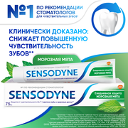 Зубная паста Sensodyne Ежедневная Защита Морозная мята с фтором, для снижения чувствительности зубов и защиты от кариеса, 75 мл