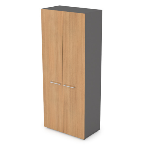 Шкаф для одежды Arredo ALSAV 10Ш.013/10ФК.001 Graphit 800*434*1946
