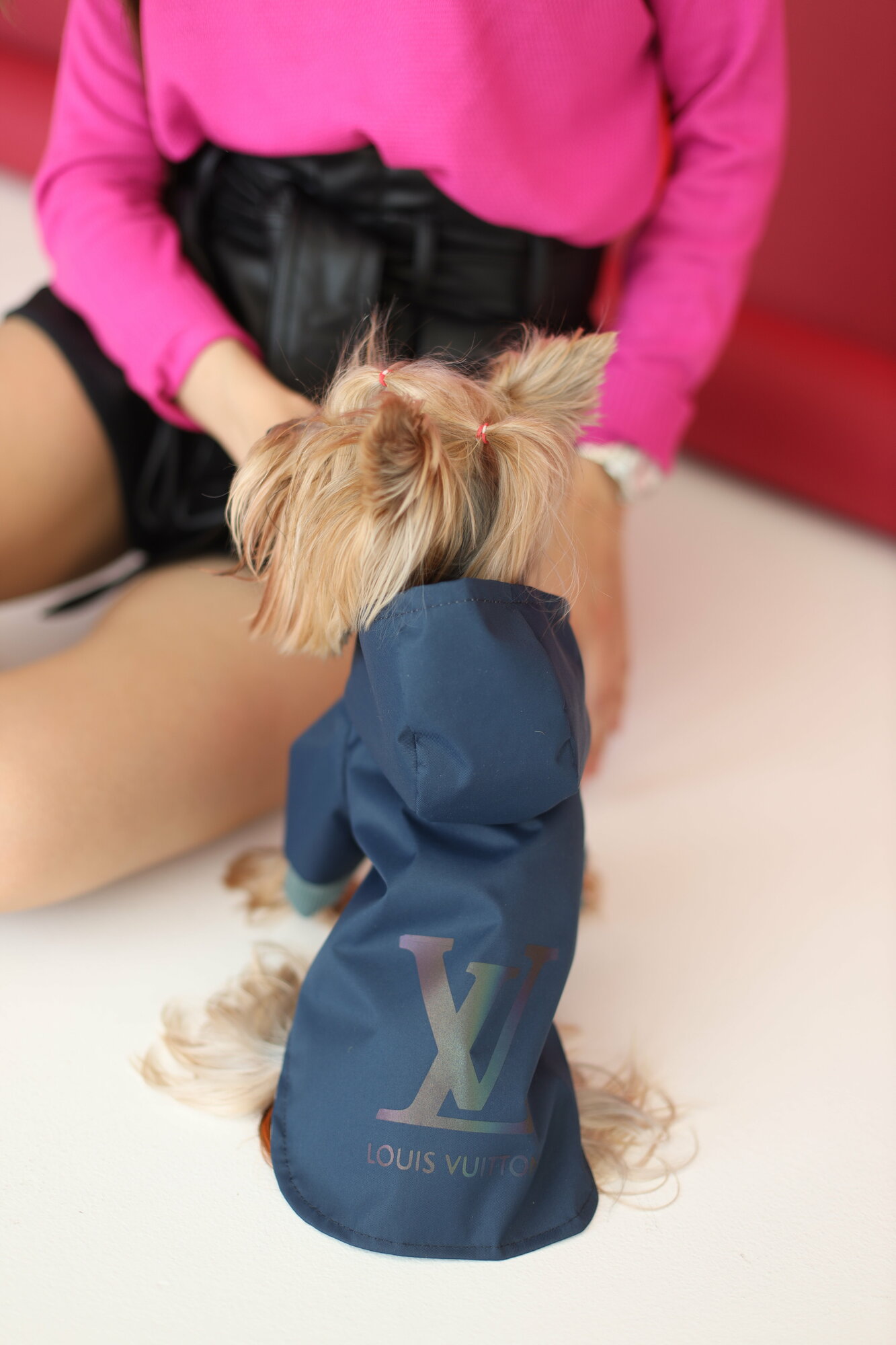 куртка с капюшоном для собак мелких пород, синяя, размер M - фотография № 1
