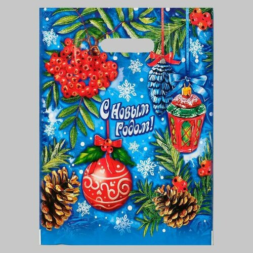 Пакет Рябиновый этюд полиэтиленовый с вырубной ручкой 30х40 см 35 мкм набор 10 штук 464₽