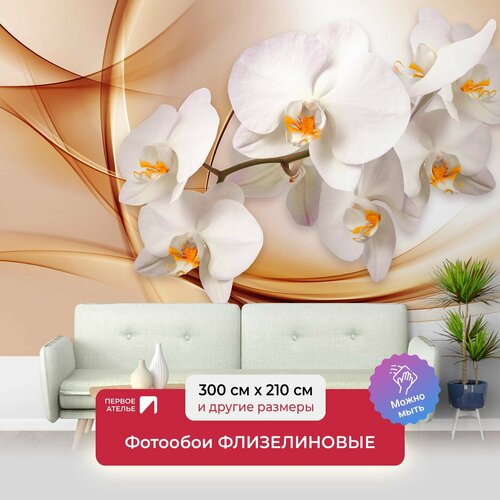Фотообои на стену первое ателье Веточка орхидеи на абстрактном фоне 300х210 см (ШхВ), флизелиновые Premium