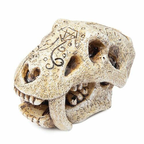 Грот Пещера Череп саблезубого тигра, 70x40x44мм Laguna Aqua 74004259