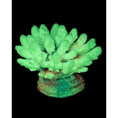 Grotaqua Кс-120 Коралл (фиолетовый) , 13*10*10 см