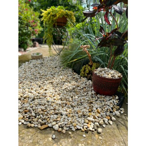 Галька жемчужная 2-5 14кг