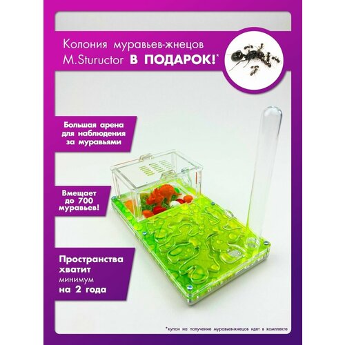 Муравьиная ферма Старт NEW 18х10х6 см 1476₽