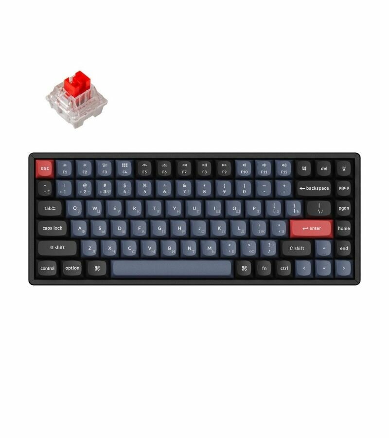 Клавиатура Keychron K2, 84 клавиши RGB подсветка, Hot-Swap, Gateron Red Switch (K2-C1H) - фото №15