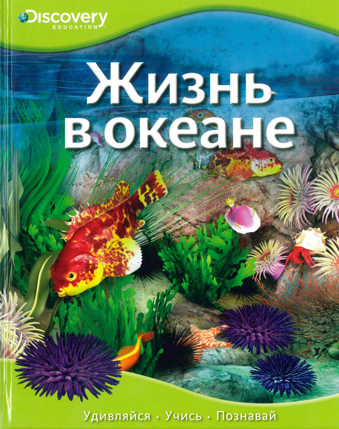 Жизнь в океане. Discovery Education