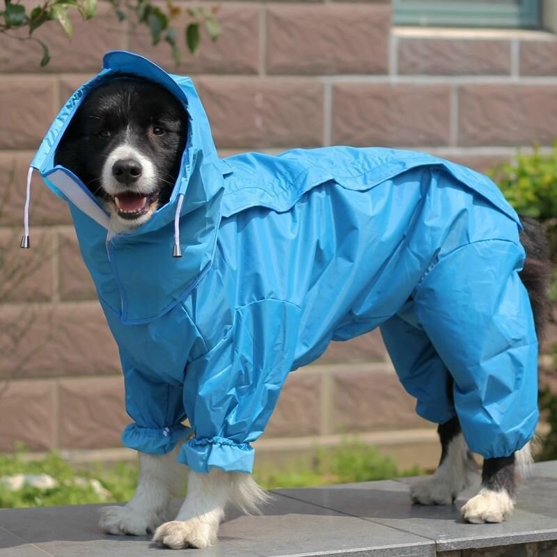 Дождевик плащ для собак, раздельный капюшон с козырьком от дождя и грязи / Размер №26, синий - фотография № 3