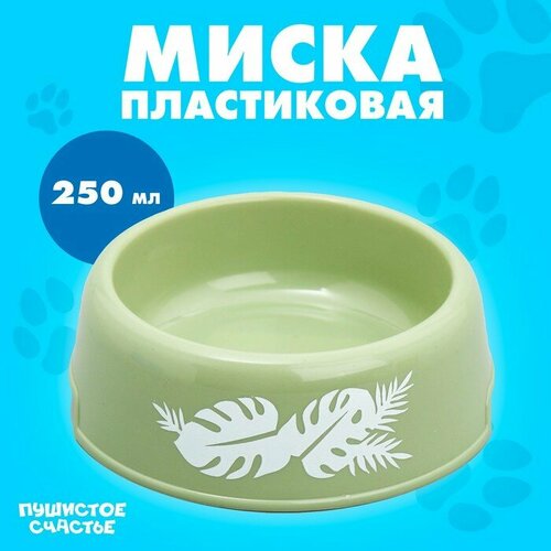 Миска пластиковая «Тропики», 250 мл, оливковая