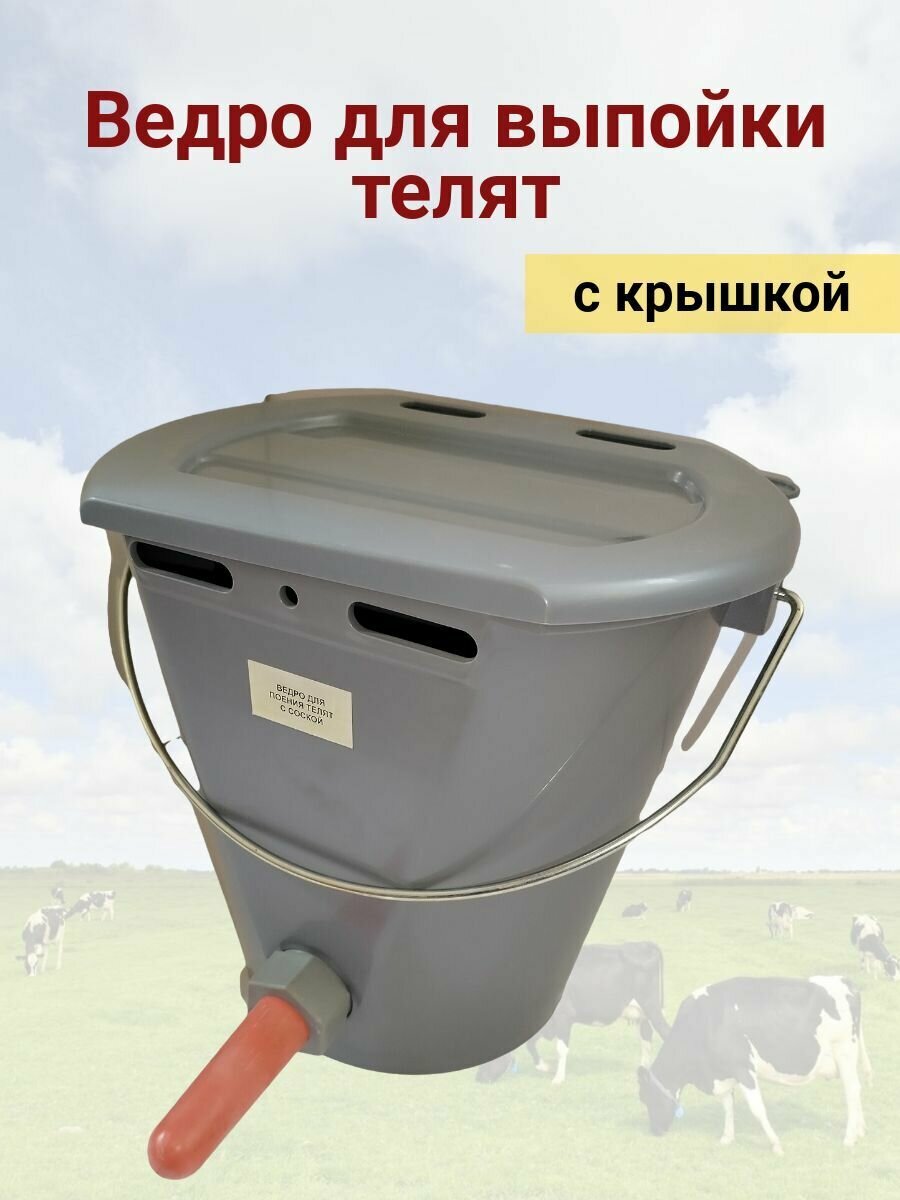 Ведро для выпойки телят с крышкой, пластиковое, 8 литров