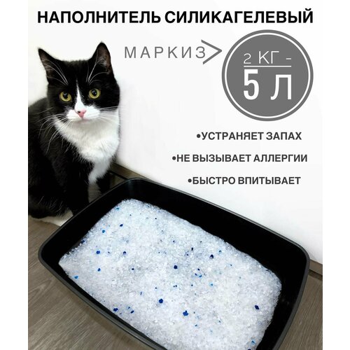 Наполнитель для кошачьего туалета силикагелевый, впитывающий, Маркиз 5л (~2кг) наполнитель для кошачьего туалета силикагелевый впитывающий маркиз 5л 2кг