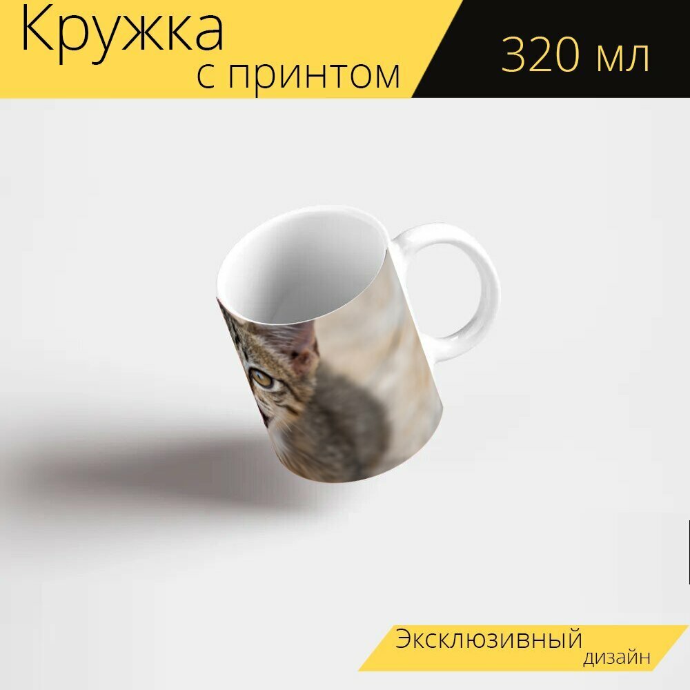 Кружка с рисунком, принтом "Кошка, котенок, домашний питомец" 320 мл.