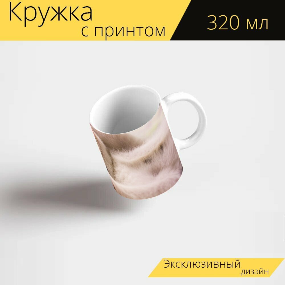 Кружка с рисунком, принтом "Котенок, кошка, китти" 320 мл.