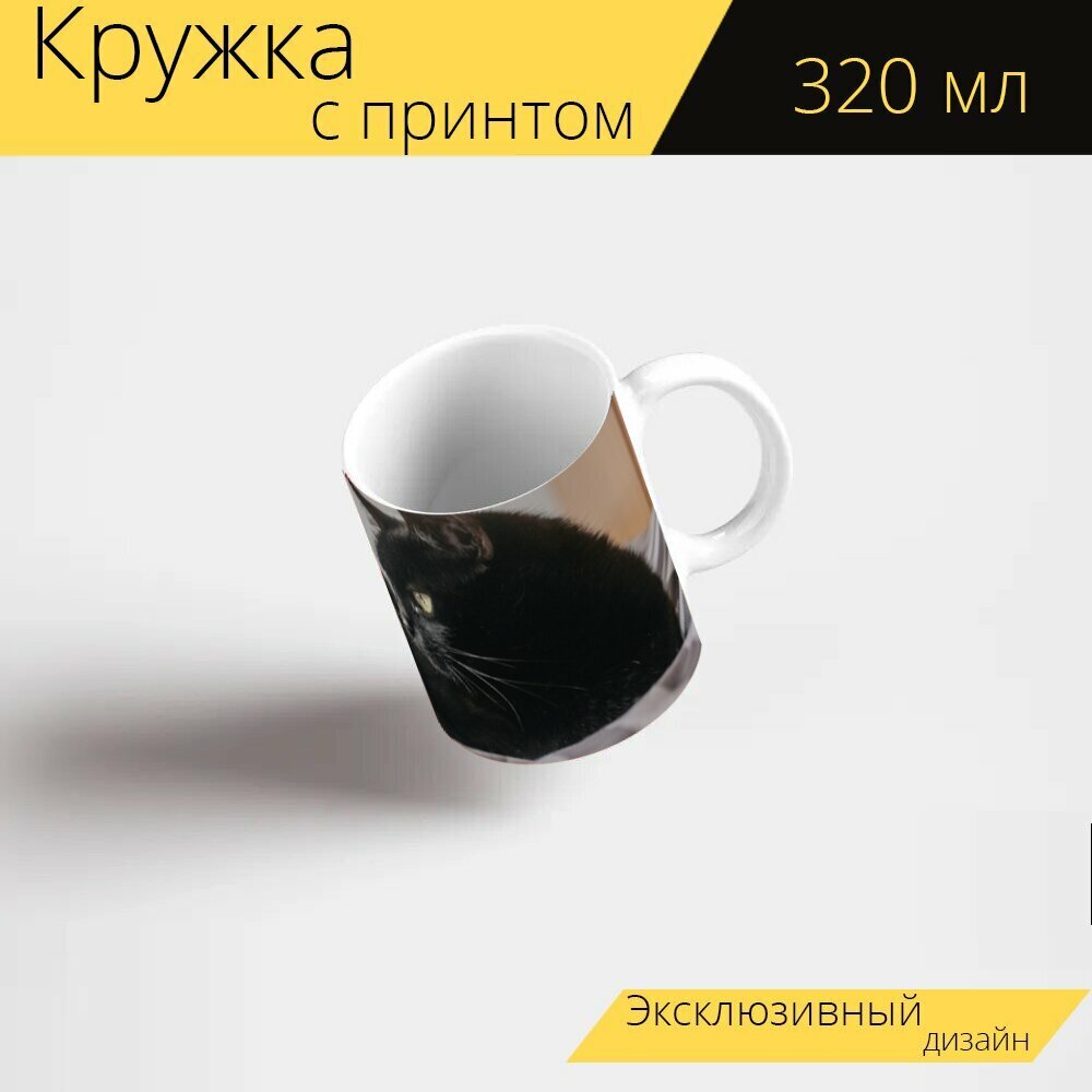 Кружка с рисунком, принтом "Кошка, котенок, домашний питомец" 320 мл.