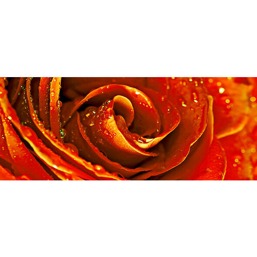 Syntia Rose 1 Декор 20х50