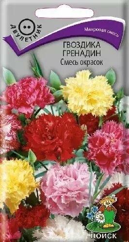 Гвоздика Гренадин смесь окрасок семена Поиск 025г