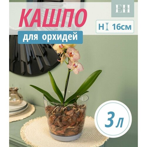 Кашпо для орхидей Elly Home, 3л, 1 шт. горшок для цветов, пластиковый цветочный вазон