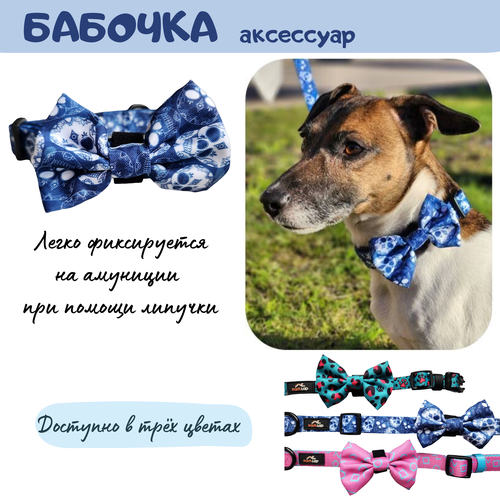 Бабочка для животных Краниум