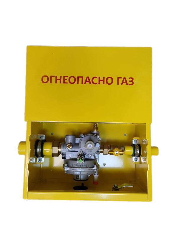 Газорегуляторный пункт шкафной грпш / ДРП FE10 справа-налево на базе регуляторов давления газа серии Pietro Fiorentini(Италия) — фото 1