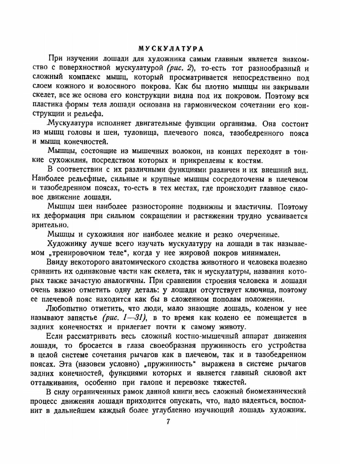 Как рисовать лошадь (Лаптев Алексей Михайлович) - фото №5