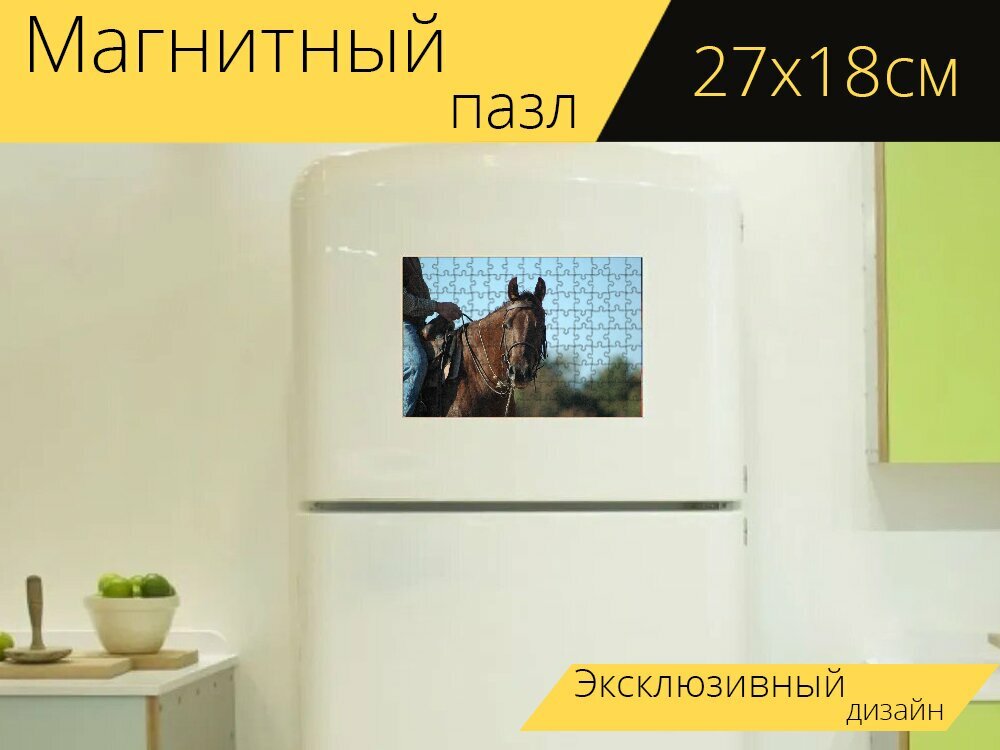 Магнитный пазл "Лошадь, уздечка, езда на лошади" на холодильник 27 x 18 см.