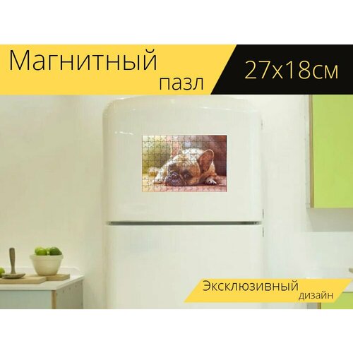 Магнитный пазл Бульдог, собака, домашний питомец на холодильник 27 x 18 см.