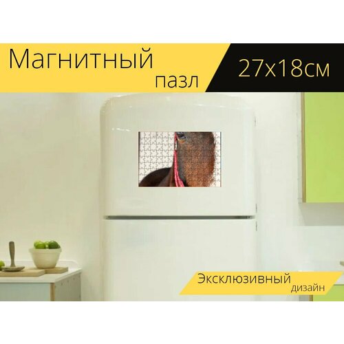 Магнитный пазл Лошадь, уздечка, голова на холодильник 27 x 18 см. магнитный пазл лошадь лошадь перевозки уздечка на холодильник 27 x 18 см