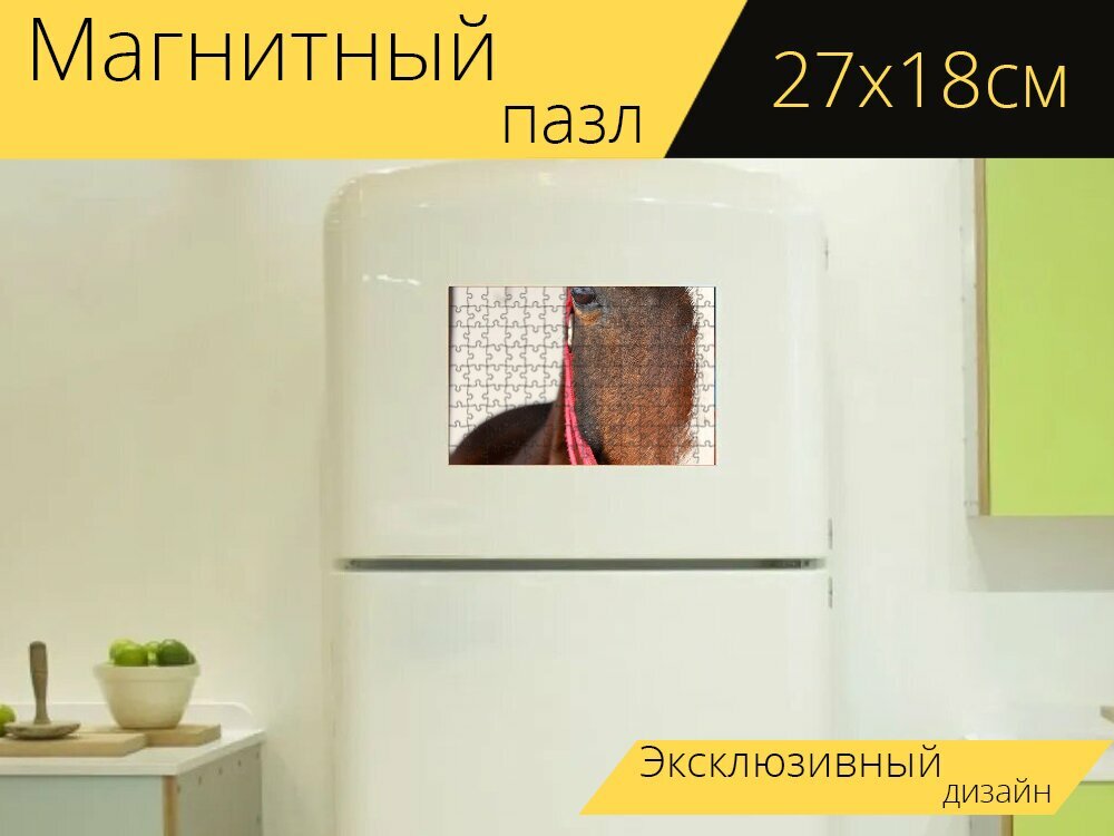 Магнитный пазл "Лошадь, уздечка, голова" на холодильник 27 x 18 см.