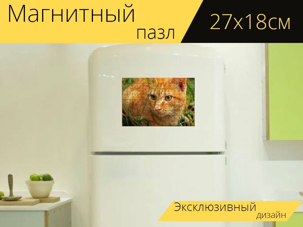 Магнитный пазл "Кот, кошка, кошки" на холодильник 27 x 18 см.