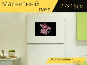 Магнитный пазл "Розовый, цветок, зеркало" на холодильник 27 x 18 см.