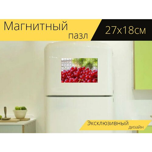 Магнитный пазл Смородина, рибизель, фрукты на холодильник 27 x 18 см.