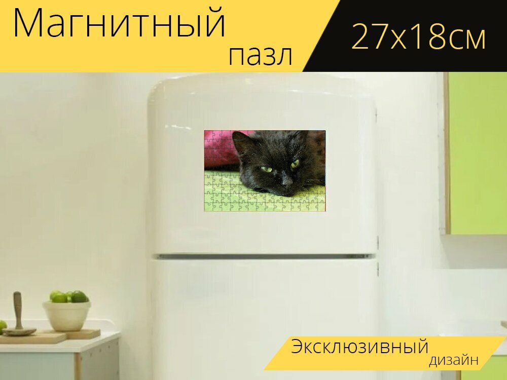 Магнитный пазл "Кот, кошачьи глаза, черный кот" на холодильник 27 x 18 см.