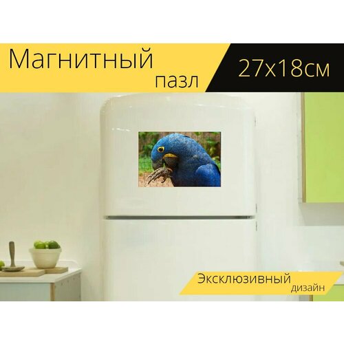 Магнитный пазл Синие ара, гиацинтовый ара, анодоринх на холодильник 27 x 18 см.