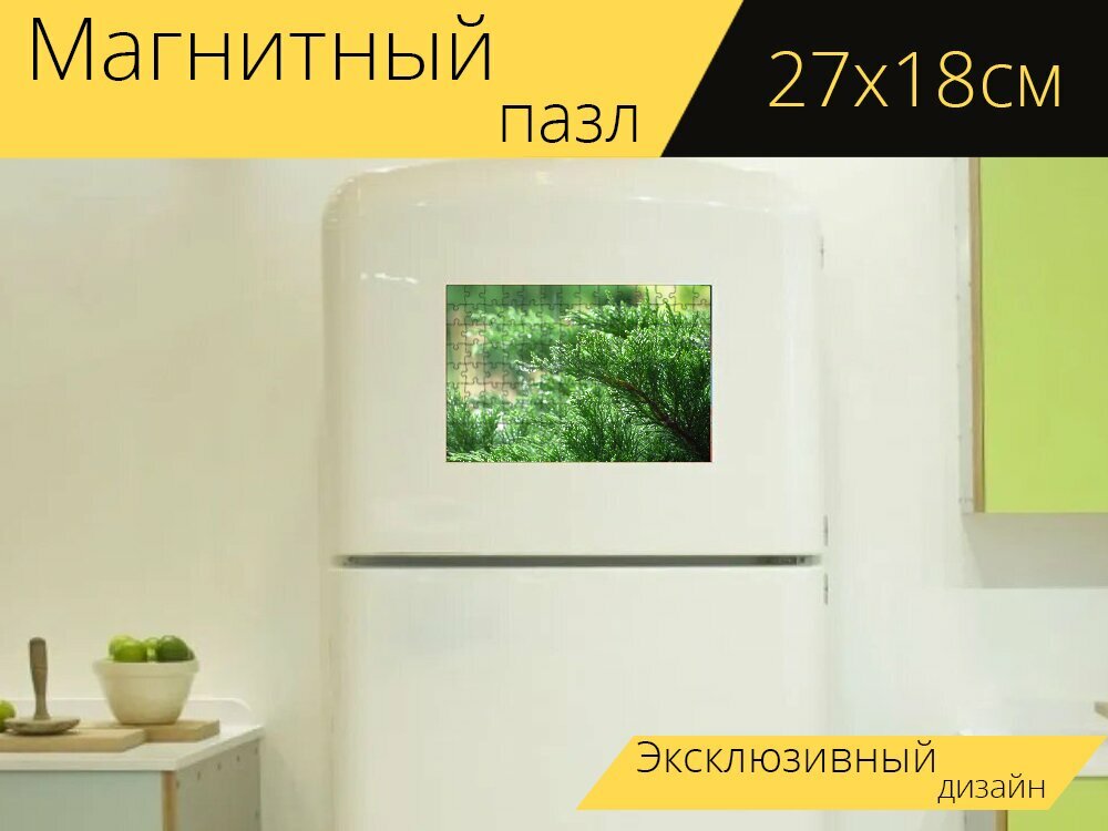 Магнитный пазл "Капли дождя, листва, зеленый" на холодильник 27 x 18 см.