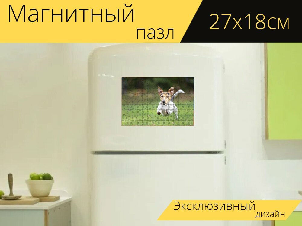 Магнитный пазл "Собака, гонки, играть" на холодильник 27 x 18 см.