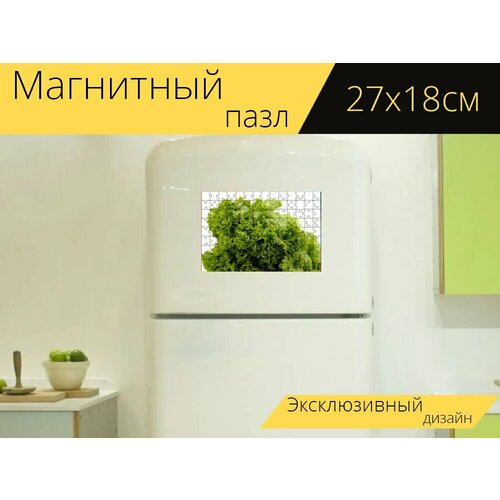 Магнитный пазл Салат, листья салата, латук на холодильник 27 x 18 см.